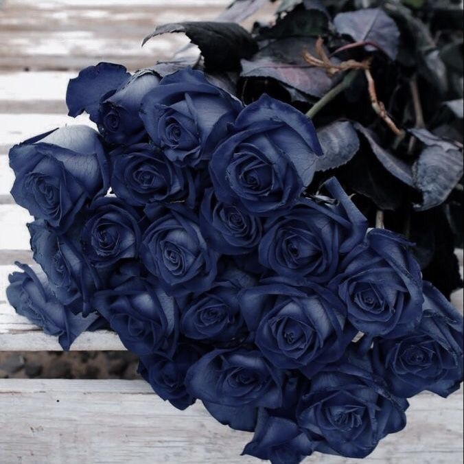 Blue Rose